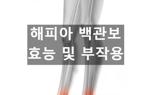 해피아 백관보