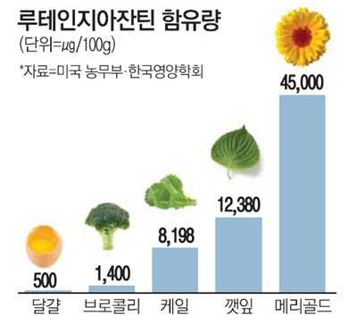 마리골드꽃추출물(지아잔틴함유)