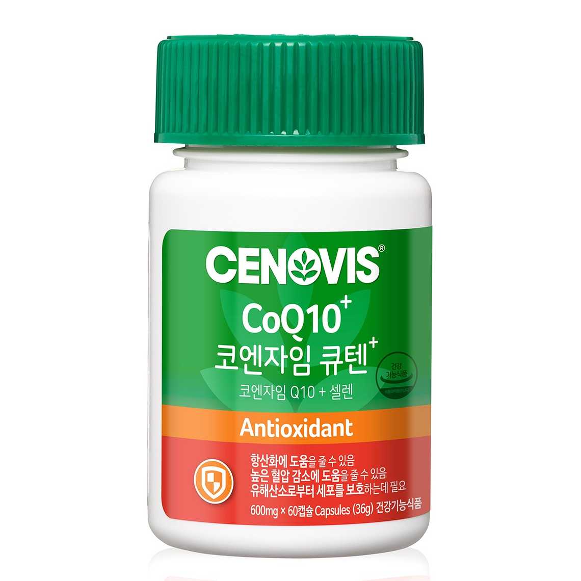 코엔자임 큐텐(Coenzyme Q10)