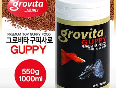 글로비타 (GLOVITA)