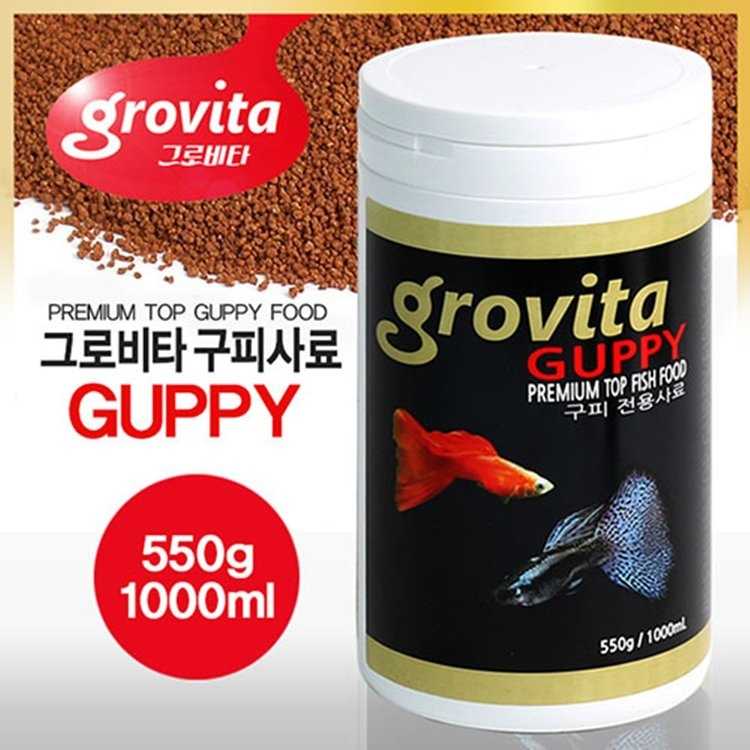 글로비타 (GLOVITA)