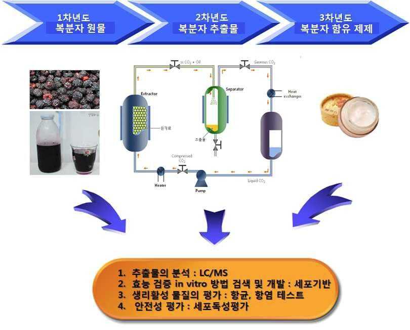 복분자 추출물(RE-20)