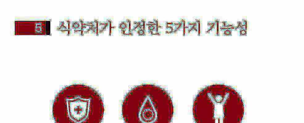 고려6년근발효흑삼정365