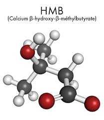 CaHMB(Calcium β-Hydroxy-β-methylbutyrate)