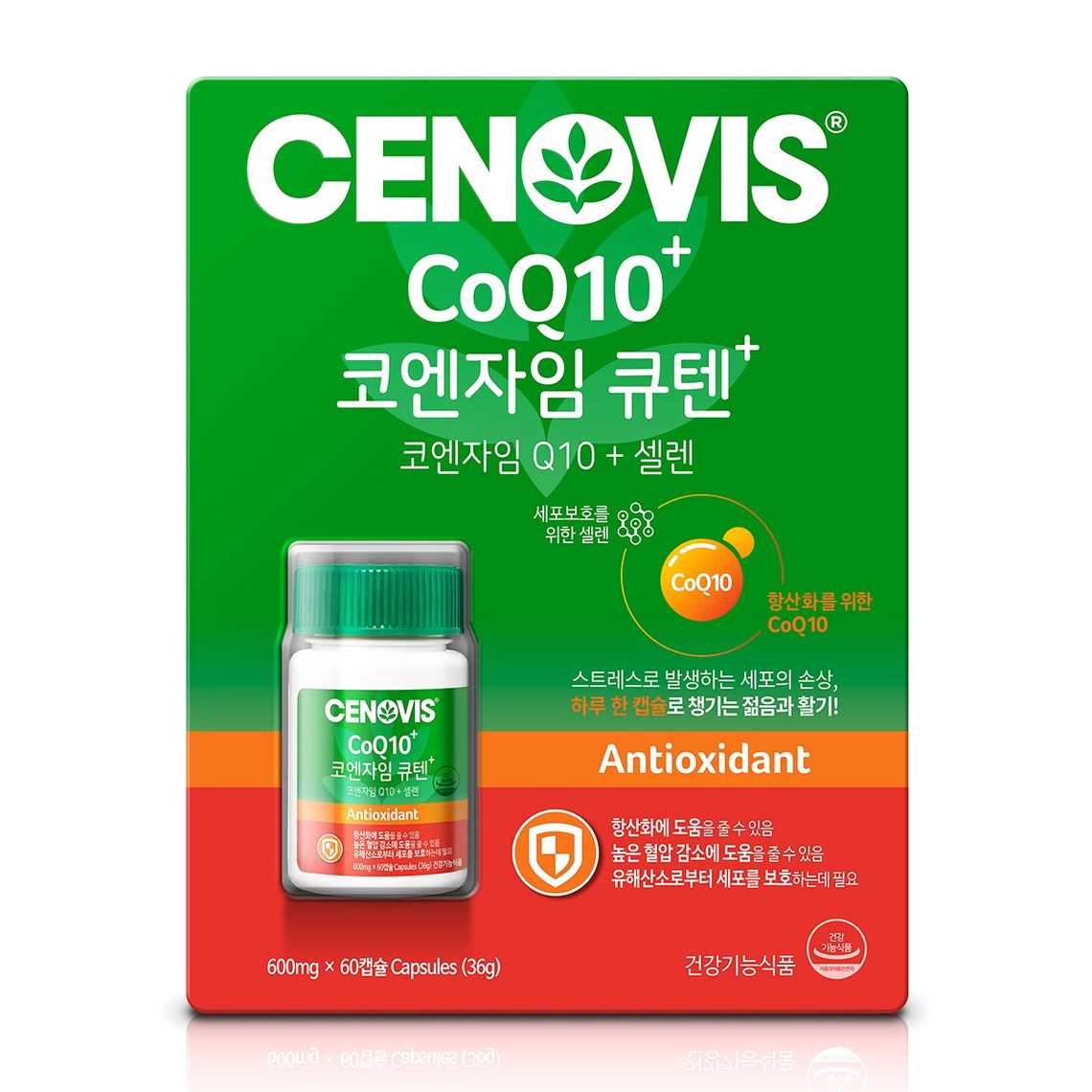 코엔자임 큐텐(Coenzyme Q10)