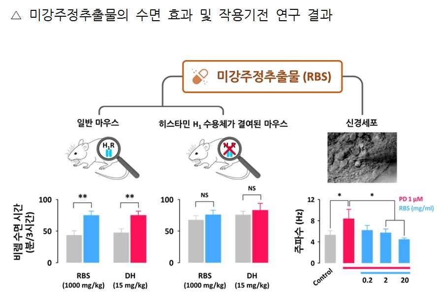 미강주정추출물